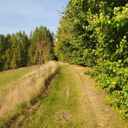 Alte Baeckerei Holiday home Johstadt